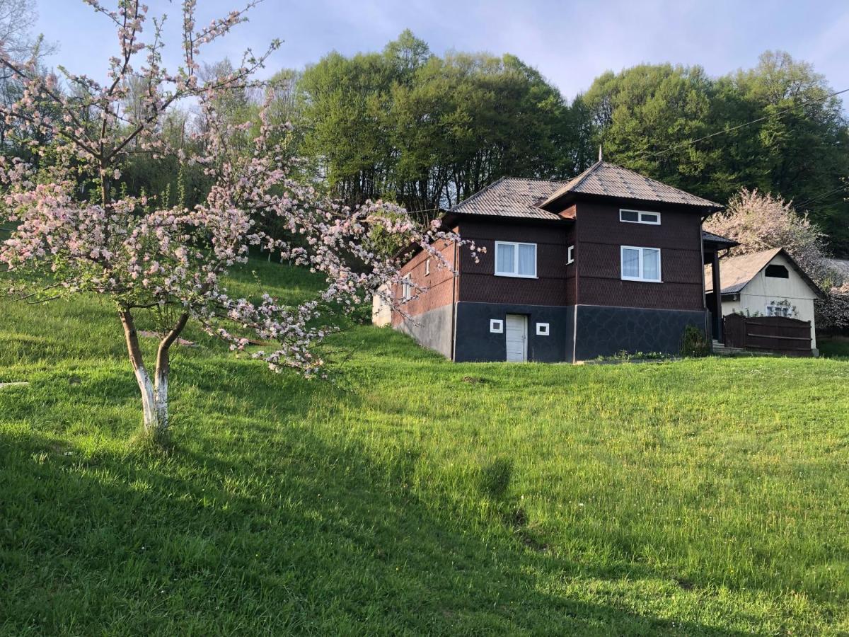 Cabana Hatere Moisei Esterno foto